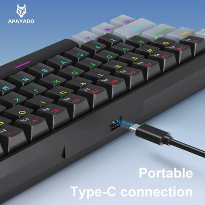 APAYADO K61 Mini Mechanical Keyboard,Wired,61 Keys,Phantom RGB,RGB Backlit Keyboard, Led Backlit Keyboard, Black/White Red/Blue Mechanical Switch for Gaming,60% Portable, Mechanical Game Keyboard